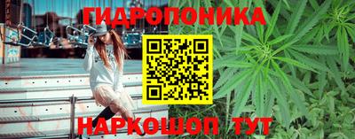 мяу мяу мука Татарск