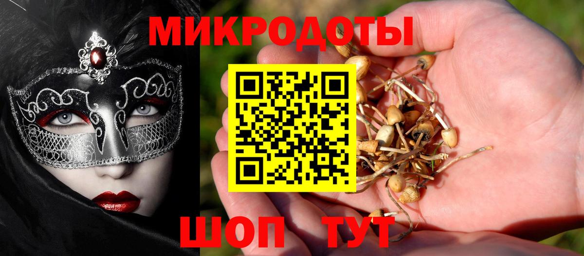 Галлюциногенные грибы Magic Shrooms Прохладный