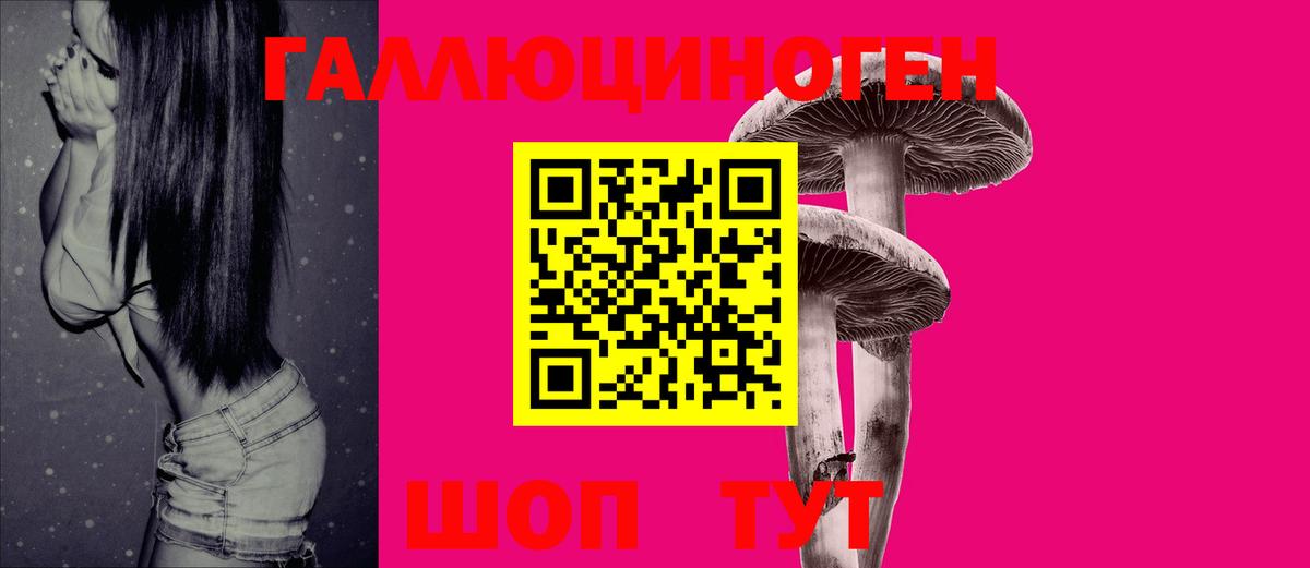 Псилоцибиновые грибы Psilocybine cubensis  Вход с VPN  Прохладный  Галлюциногенные грибы Psilocybine cubensis 