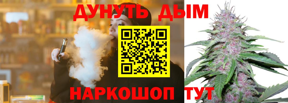 Шишки марихуана сатива Прохладный